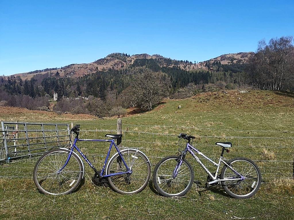 IMG_20200424_115902.jpg cycle IMG_20200424_115902.jpg cycle